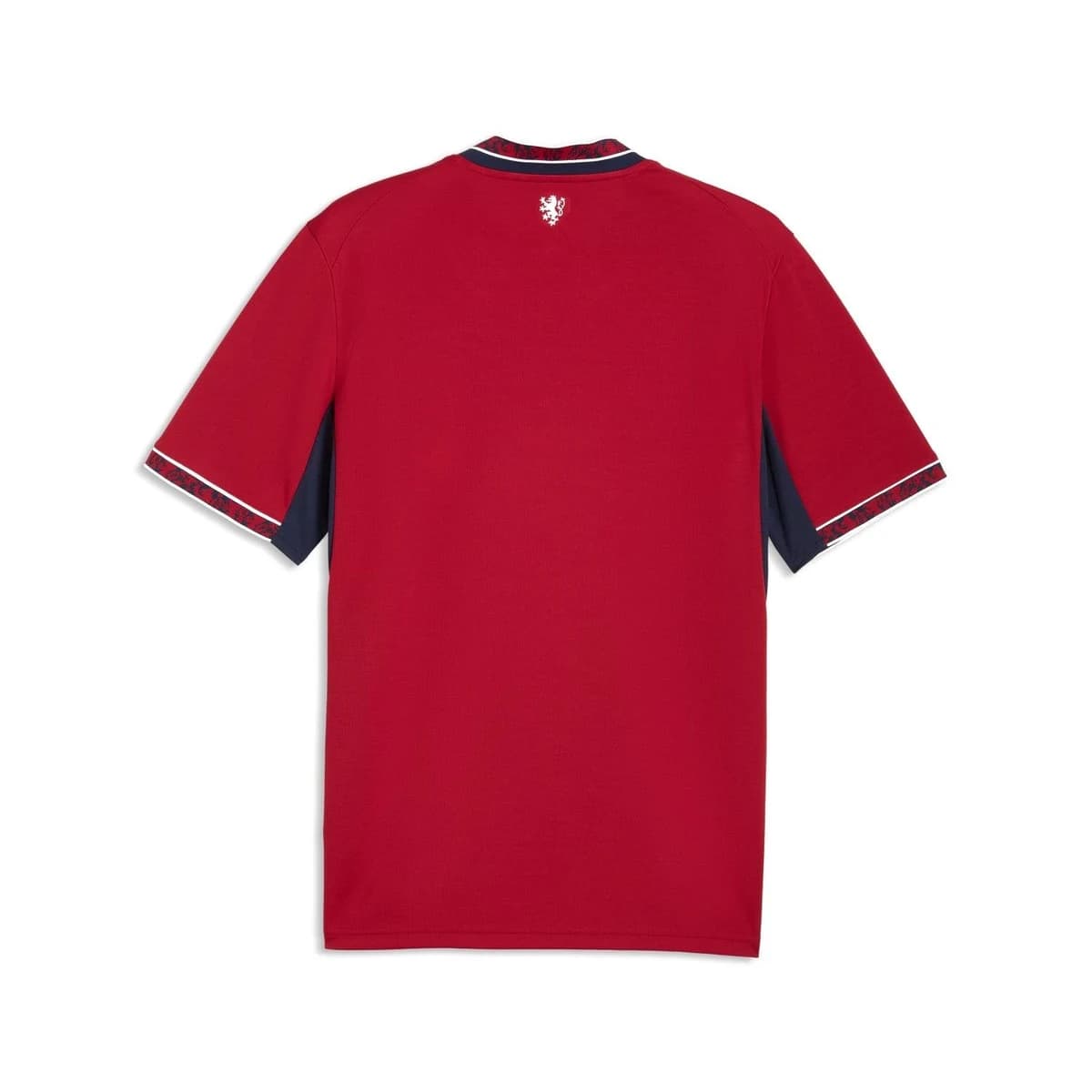 Tsjechië Thuisshirt 2026 - back