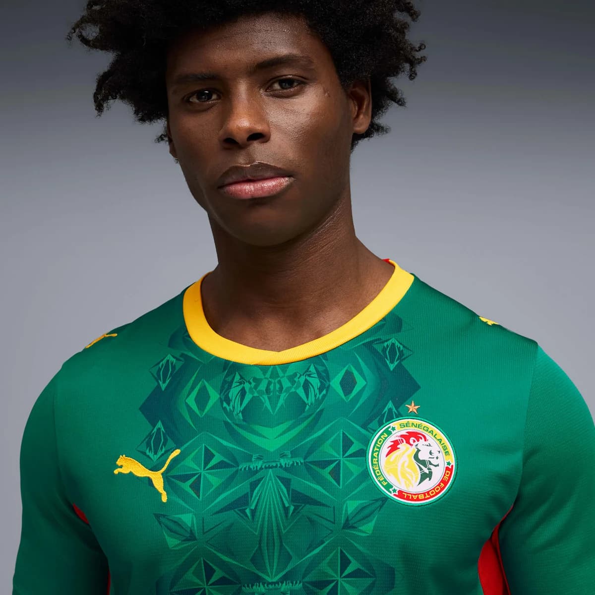 Detail van het Senegal WK 2026 shirt in de nationale kleuren